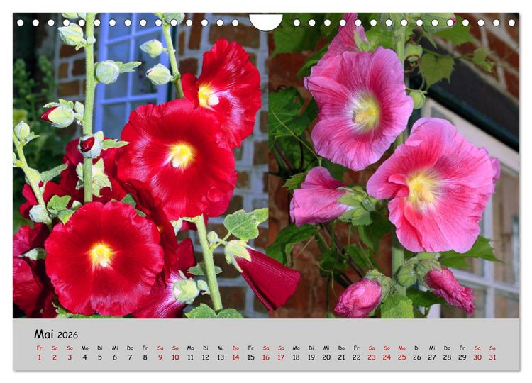 Produktbild: Blumen &uuml;berall, zur Freude Menschen (Wandkalender 2026 DIN A4 quer), CALVENDO Monatskalender