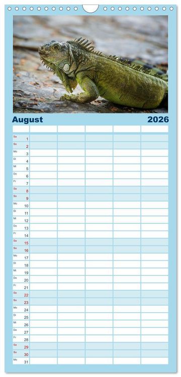 Produktbild: Familienplaner 2026 - Drachen: Geheimnisvolles Tierreich mit 5 Spalten (Wandkalender, 21 x 45 cm) CALVENDO