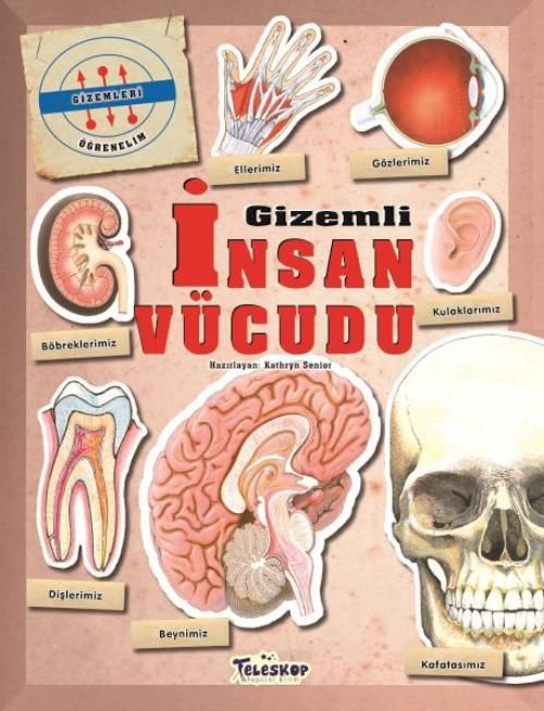 Produktbild: Gizemleri &Ouml;grenelim - Gizemli Insan V&uuml;cudu
