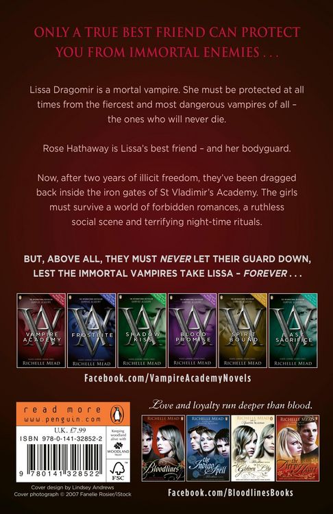 Produktbild: Vampire Academy (book 1)