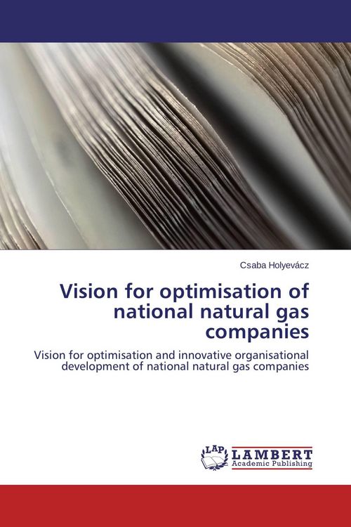 Produktbild: Vision for optimisation of national natural gas companies