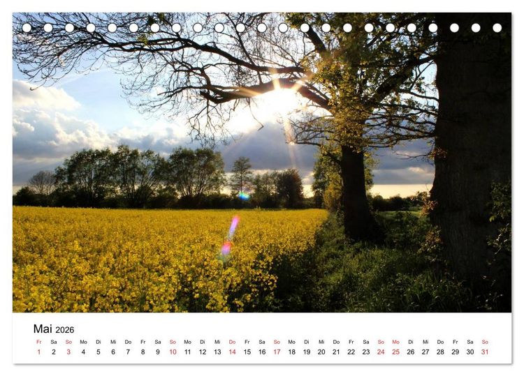 Produktbild: Schleswig-Holstein (Tischkalender 2026 DIN A5 quer), CALVENDO Monatskalender