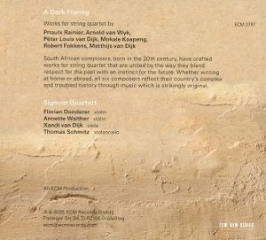 Produktbild: A Dark Flaring: Works from South Africa