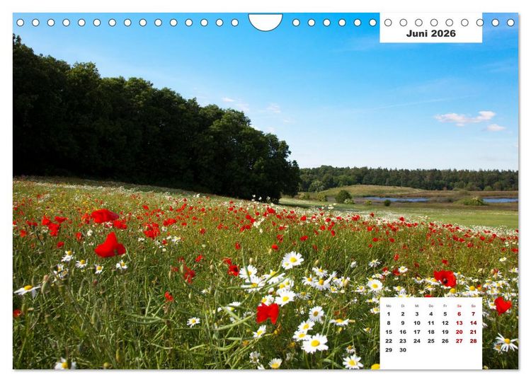 Produktbild: R&uuml;gen Panorama (Wandkalender 2026 DIN A4 quer), CALVENDO Monatskalender