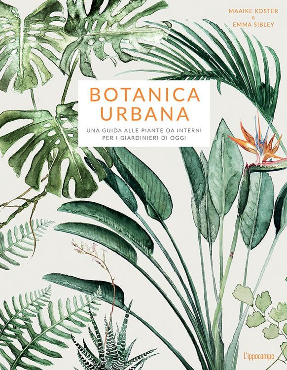Produktbild: Botanica urbana. Una guida alle piante da interni per i giardinieri di oggi