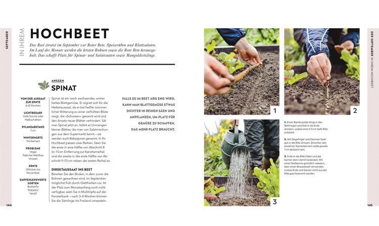 Produktbild: Hochbeet