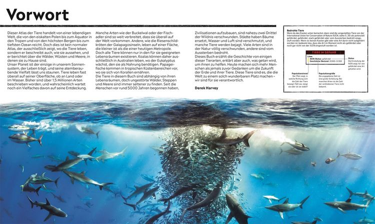 Produktbild: Wo in aller Welt? Tiere. Spektakul&auml;re 3D-Karten