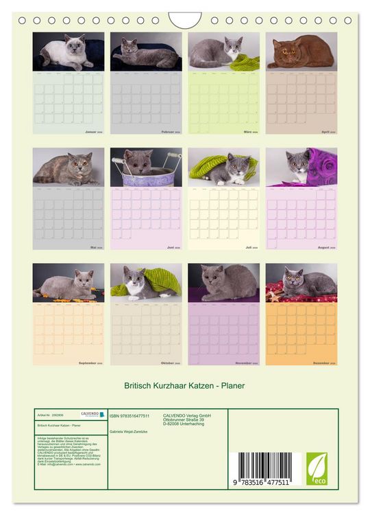 Produktbild: Britisch Kurzhaar Katzen - Planer (Wandkalender 2026 DIN A4 hoch), CALVENDO Monatskalender