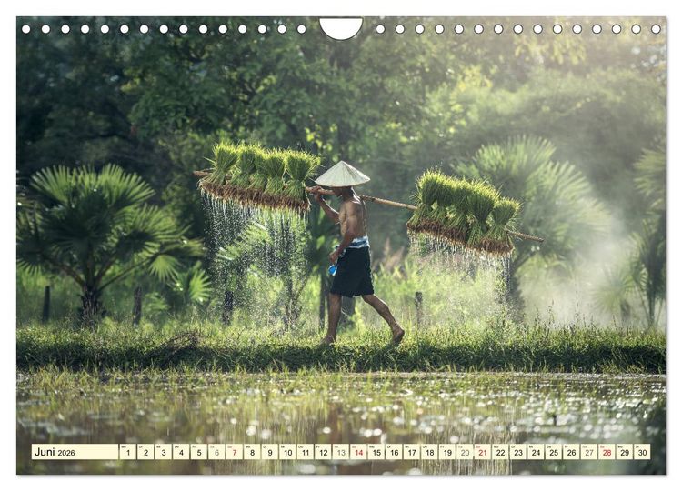 Produktbild: Magisches Asien. Menschen und Natur (Wandkalender 2026 DIN A4 quer), CALVENDO Monatskalender