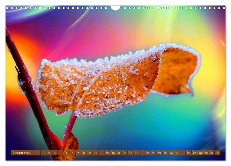 Produktbild: Grandiose Farbenspiele (Wandkalender 2026 DIN A3 quer), CALVENDO Monatskalender