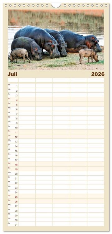 Produktbild: Familienplaner 2026 - Flusspferde - gem&uuml;tlich gef&auml;hrlich mit 5 Spalten (Wandkalender, 21 x 45 cm) CALVENDO
