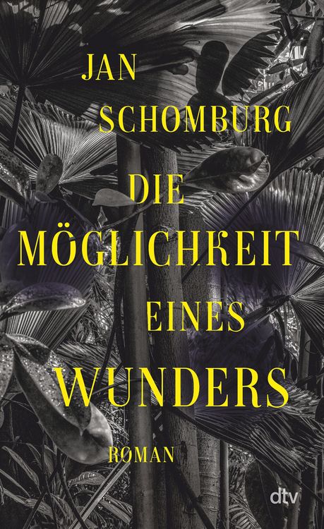Produktbild: Die M&ouml;glichkeit eines Wunders
