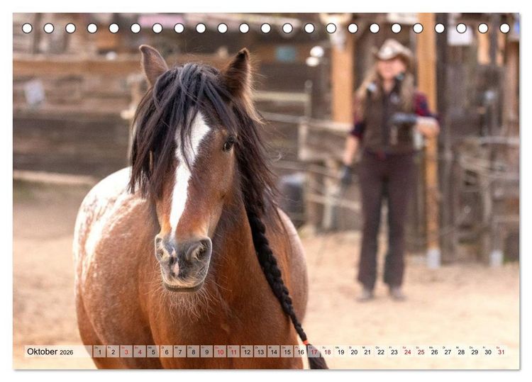 Produktbild: Colorful Horse Ranch &ndash; Wo Tinker posen und Ponys l&auml;cheln (Tischkalender 2026 DIN A5 quer), CALVENDO Monatskalender
