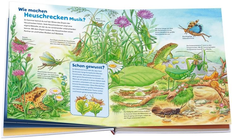 Produktbild: WAS IST WAS Junior Band 33. Insekten