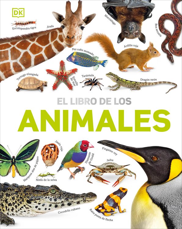 Produktbild: El Libro de Los Animales (Our World in Pictures: The Animal Book)