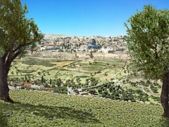 Produktbild: CALVENDO Puzzle Heiliges Land - Jerusalem vom Berg Gethsemane aus um 1900 | 1000 Teile Lege-Gr&ouml;&szlig;e 64x48cm Foto-Puzzle f&uuml;r gl&uuml;ckliche Stunden