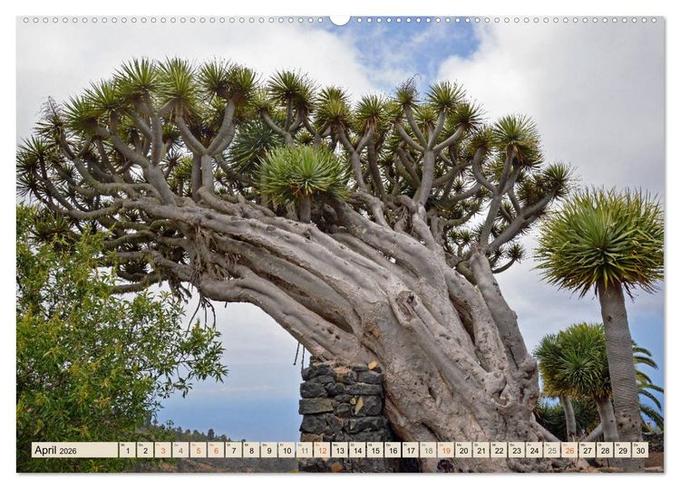 Produktbild: Magic Moments - LA PALMA (hochwertiger Premium Wandkalender 2026 DIN A2 quer), Kunstdruck in Hochglanz