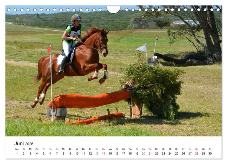 Produktbild: Vielseitigkeitsreiten (Wandkalender 2026 DIN A4 quer), CALVENDO Monatskalender