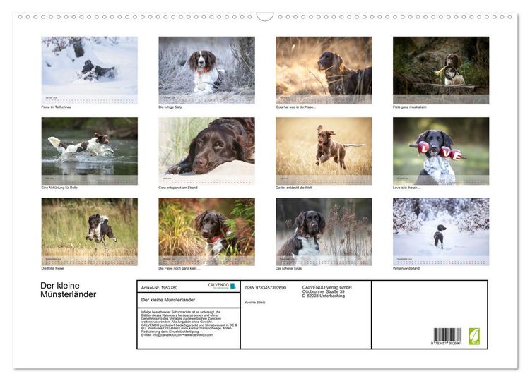 Produktbild: Der kleine M&uuml;nsterl&auml;nder (Wandkalender 2026 DIN A2 quer), CALVENDO Monatskalender