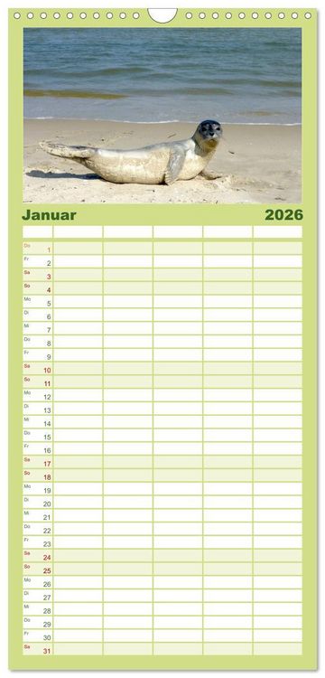 Produktbild: Familienplaner 2026 - T&ouml;werland Juist mit 5 Spalten (Wandkalender, 21 x 45 cm) CALVENDO
