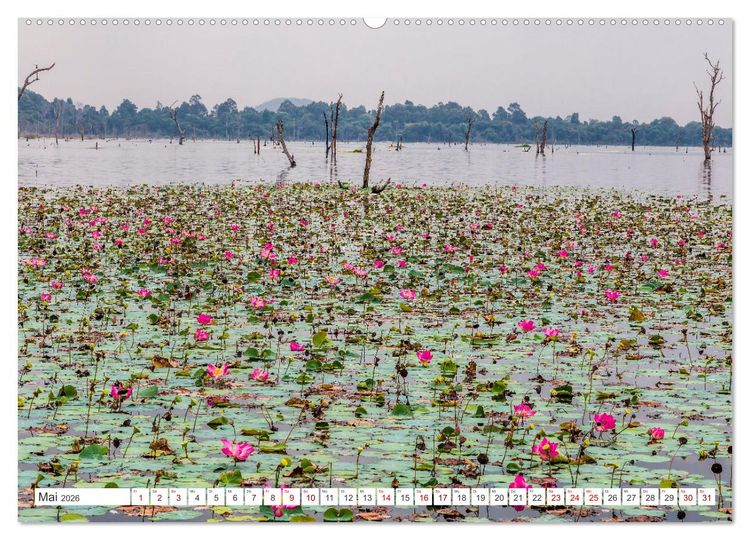 Produktbild: Siem Reap Stadt der Tempel Kambodscha (hochwertiger Premium Wandkalender 2026 DIN A2 quer), Kunstdruck in Hochglanz