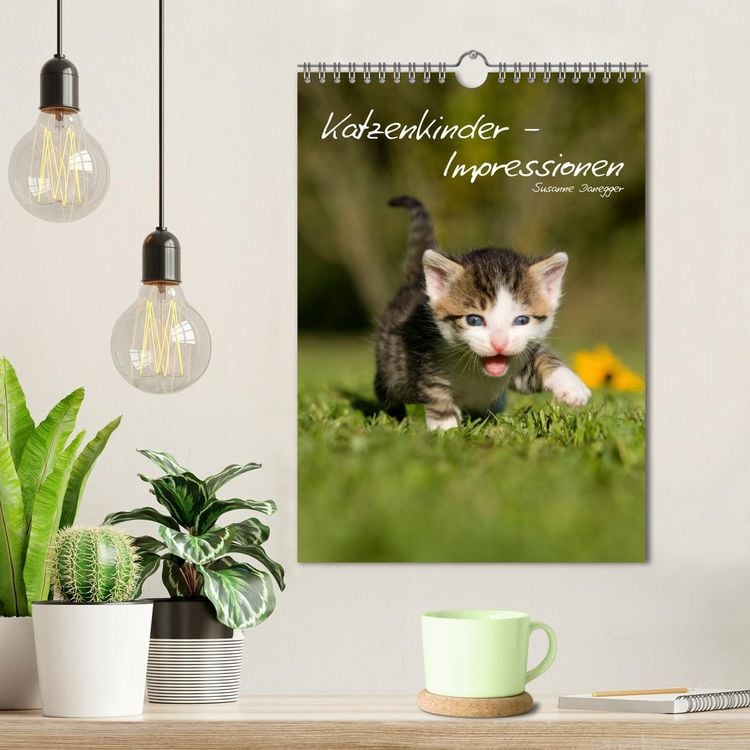 Produktbild: Katzenkinder - Impressionen (Wandkalender 2026 DIN A4 hoch), CALVENDO Monatskalender