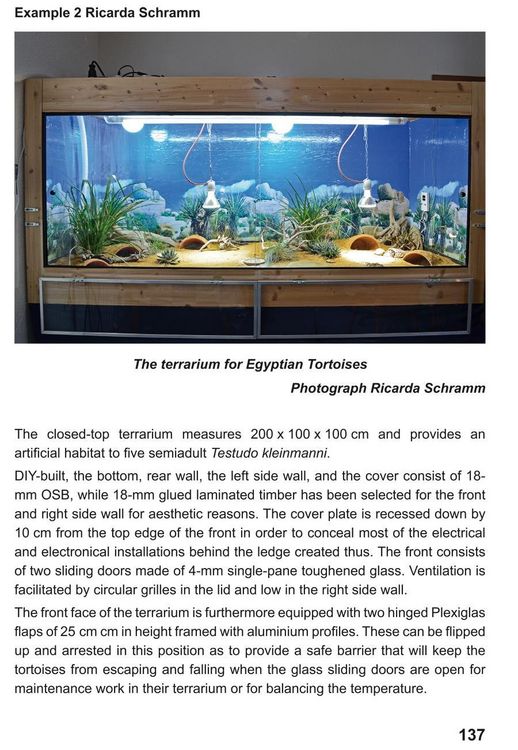 Produktbild: The Egyptian Tortoise, Testudo kleinmanni Lortet, 1883