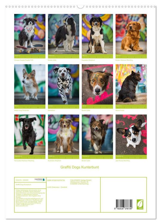 Produktbild: Graffiti Dogs Kunterbunt (hochwertiger Premium Wandkalender 2026 DIN A2 hoch), Kunstdruck in Hochglanz