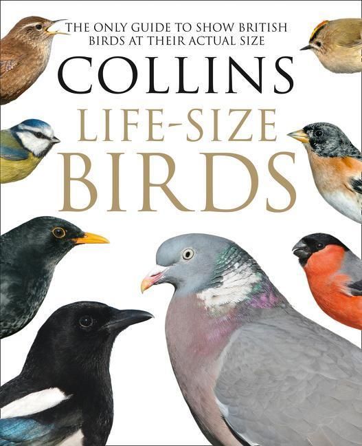 Produktbild: Collins Life-Size Birds