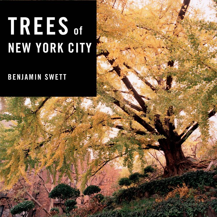 Produktbild: Trees of New York City
