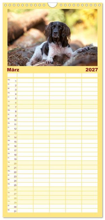 Produktbild: Familienplaner 2027 - Passion Jagdhund - Kleiner M&uuml;nsterl&auml;nder mit 5 Spalten (Wandkalender, 21 x 45 cm) CALVENDO