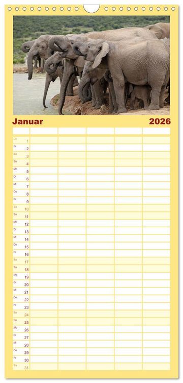 Produktbild: Familienplaner 2026 - Elefanten in Afrika mit 5 Spalten (Wandkalender, 21 x 45 cm) CALVENDO