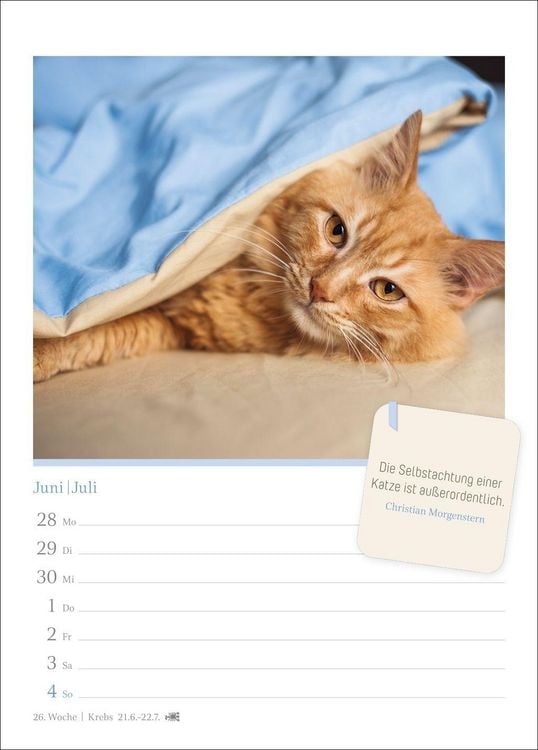 Produktbild: Katzengl&uuml;ck Wochenkalender 2027 - mit Zitaten