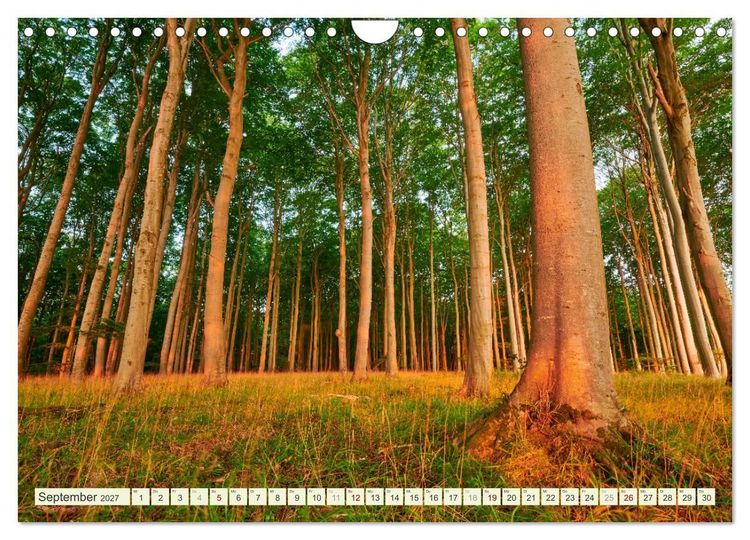 Produktbild: R&uuml;gen - Jasmund Nationalpark (Wandkalender 2027 DIN A4 quer), CALVENDO Monatskalender