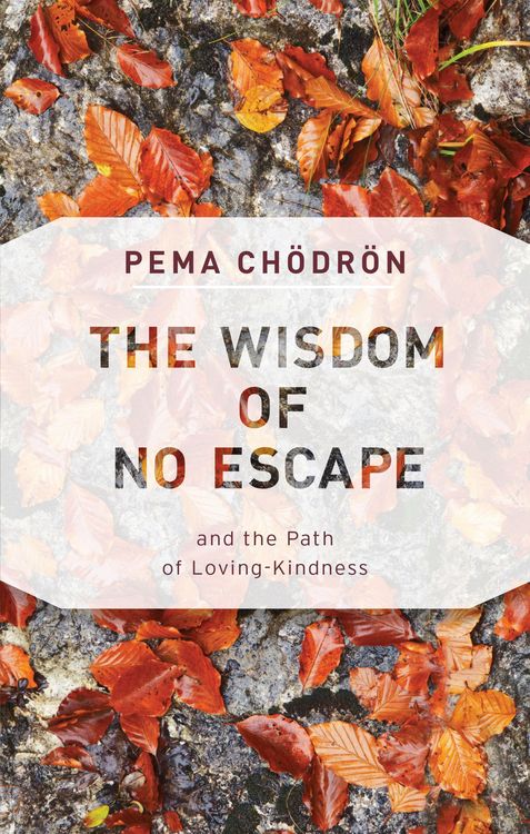 Produktbild: The Wisdom of No Escape