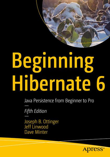 Produktbild: Beginning Hibernate 6