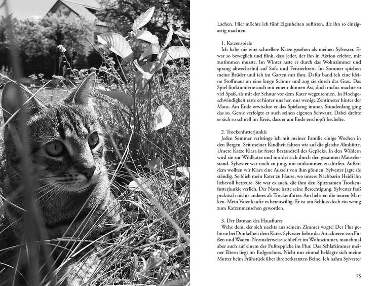 Produktbild: Meine Katze ... und ich