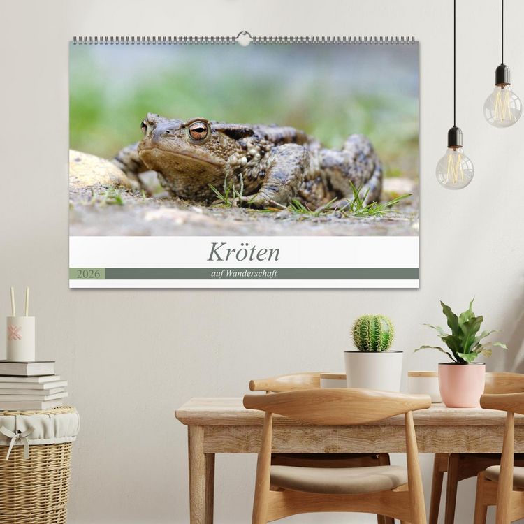 Produktbild: Kr&ouml;ten auf Wanderschaft (Wandkalender 2026 DIN A2 quer), CALVENDO Monatskalender