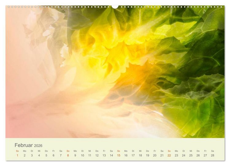 Produktbild: Lichtzauber (hochwertiger Premium Wandkalender 2026 DIN A2 quer), Kunstdruck in Hochglanz