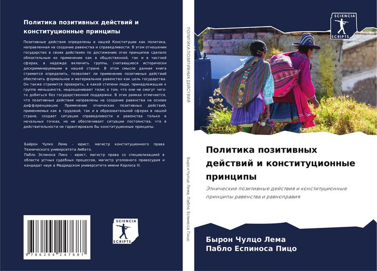 Produktbild: Politika pozitiwnyh dejstwij i konstitucionnye principy