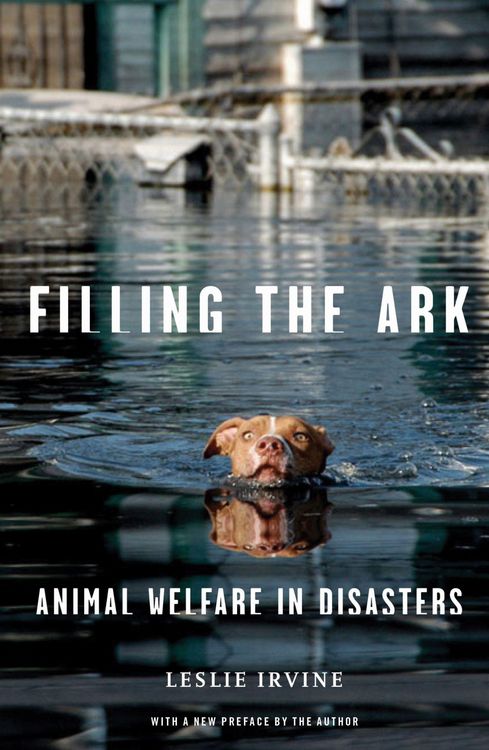 Produktbild: Filling the Ark