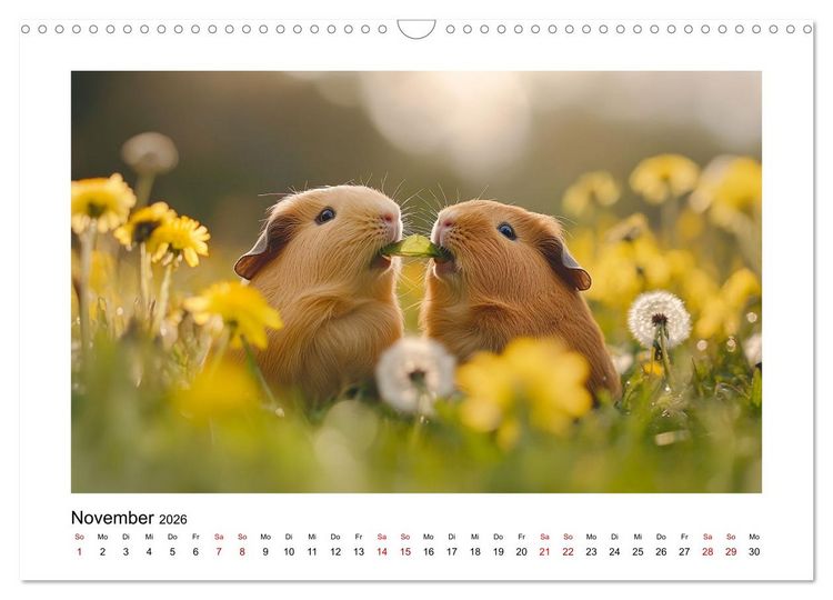 Produktbild: Mehr Schwein mit Meerschwein (Wandkalender 2026 DIN A3 quer), CALVENDO Monatskalender