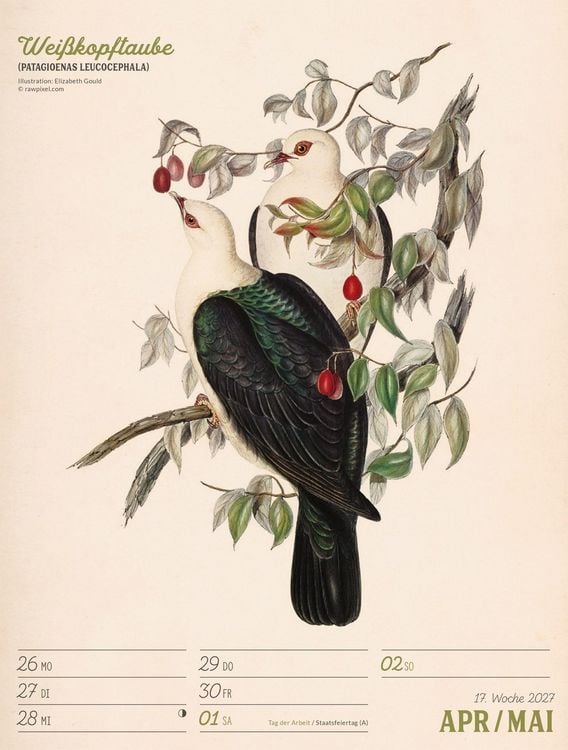Produktbild: Wunderbare Vogelwelt Wochenplaner Kalender 2027
