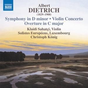 Produktbild: Symphony in D minor/Violin Concerto