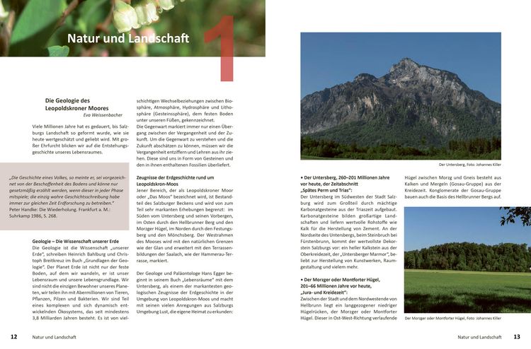 Produktbild: Leopoldskron-Moos: Geschichte & Geschichten