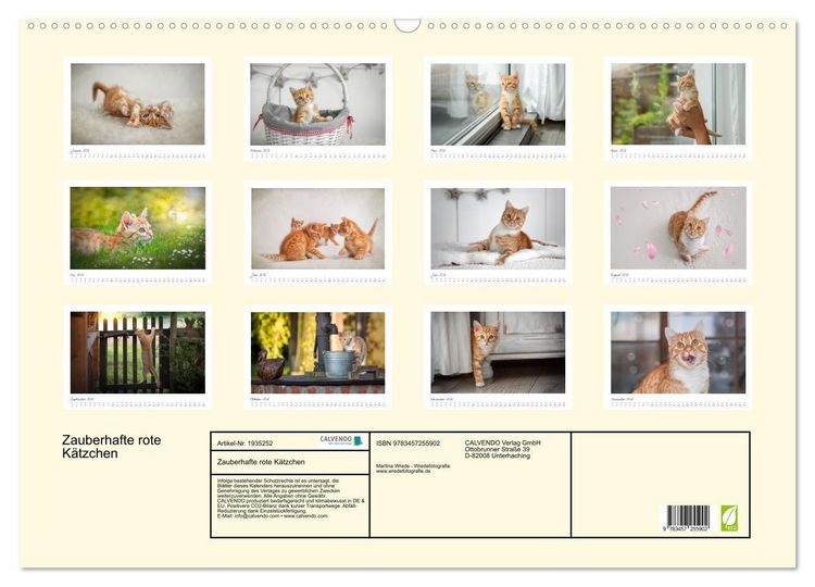 Produktbild: Zauberhafte rote K&auml;tzchen (Wandkalender 2026 DIN A2 quer), CALVENDO Monatskalender