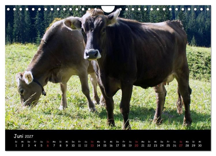 Produktbild: Schweiz - Berglandschaften (Wandkalender 2027 DIN A4 quer), CALVENDO Monatskalender
