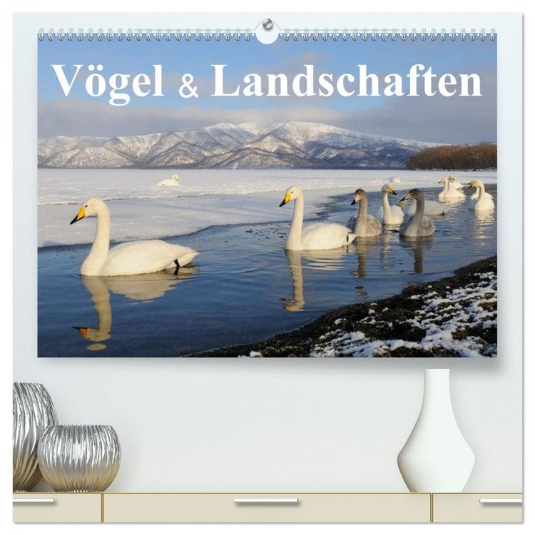 Produktbild: V&ouml;gel & Landschaften (hochwertiger Premium Wandkalender 2026 DIN A2 quer), Kunstdruck in Hochglanz