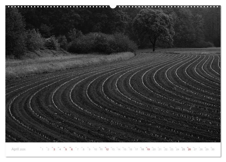 Produktbild: Mystischer Schwarzwald (Wandkalender 2026 DIN A2 quer), CALVENDO Monatskalender