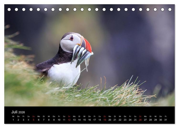 Produktbild: ISLAND - Zauber der Natur (Tischkalender 2026 DIN A5 quer), CALVENDO Monatskalender